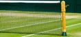 Wimbledon Tennis Court